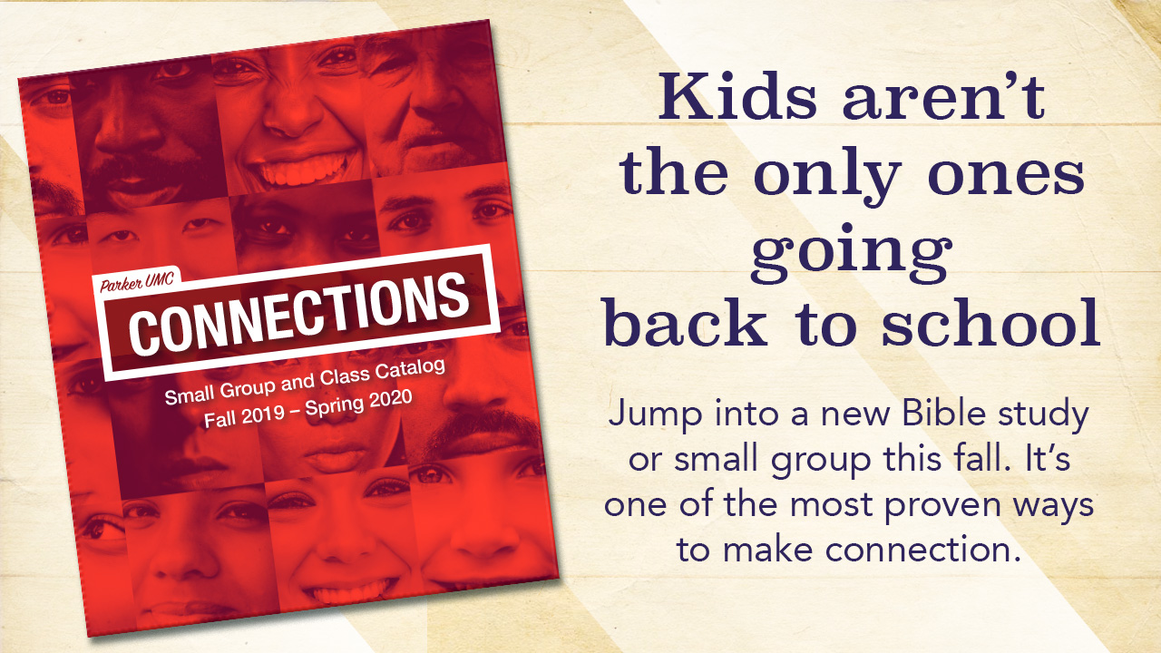 Cover of the Fall 2019 Connections Catalog