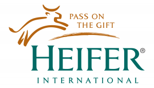 heifer-hi