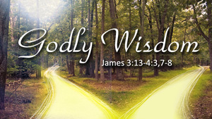 Featured Image for the message, Godly Wisdom. A wooded trail with two paths, both lit with golden light. A heavenly light shines above one of the paths.