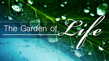 The Garden of Life Featured Image
